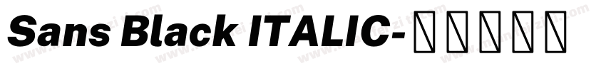 Sans Black ITALIC字体转换